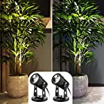 Junview 2Pack LED Spot Lights Indoor Accent Lighting Plant Spotlights with 5.9 FT Cord Switch Warm White and Day White Adjustable Tree Uplights for Plants Art Decor (Base and Stake Included)