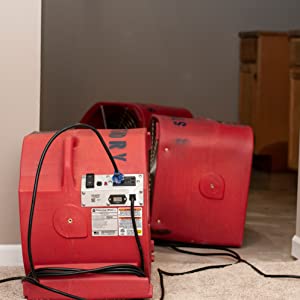 flood restoration and bed bug treatments