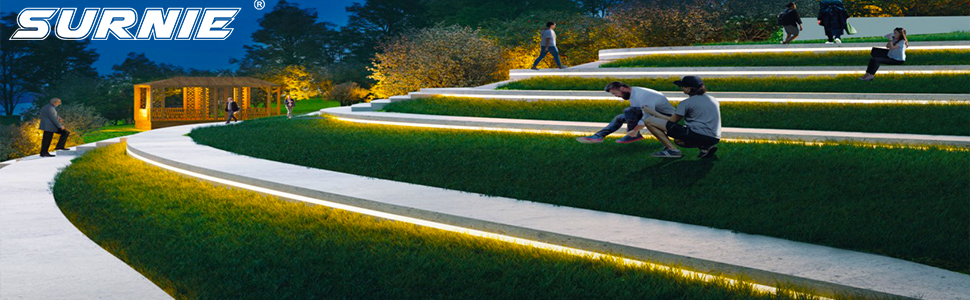 Warm White Led Neon Lights