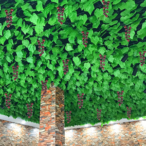 Ceiling Decor